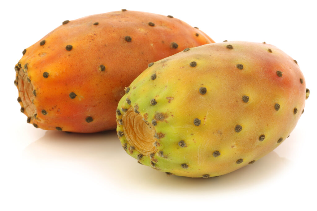 PICKLY PEAR OIL
