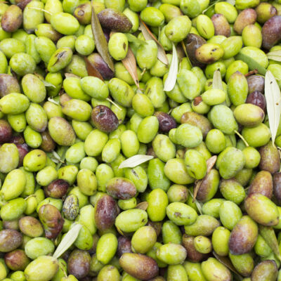 VIRGIN OLIVE OIL