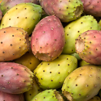 PRICKLY PEAR SEED OIL